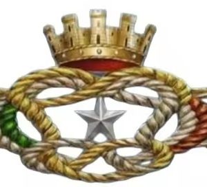 distintivo d’onore per il personale in congedo delle forze armate